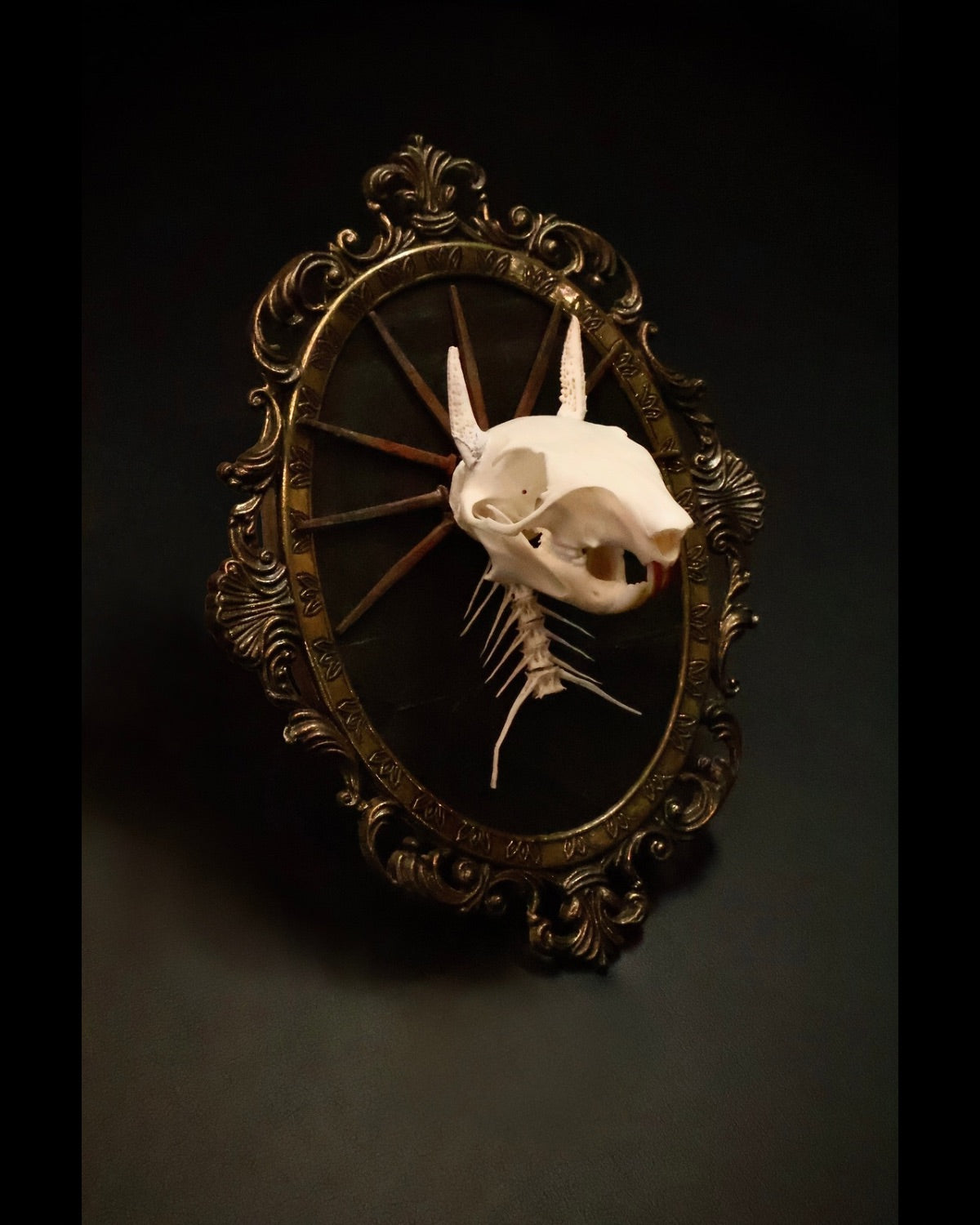 Very spooky very wow