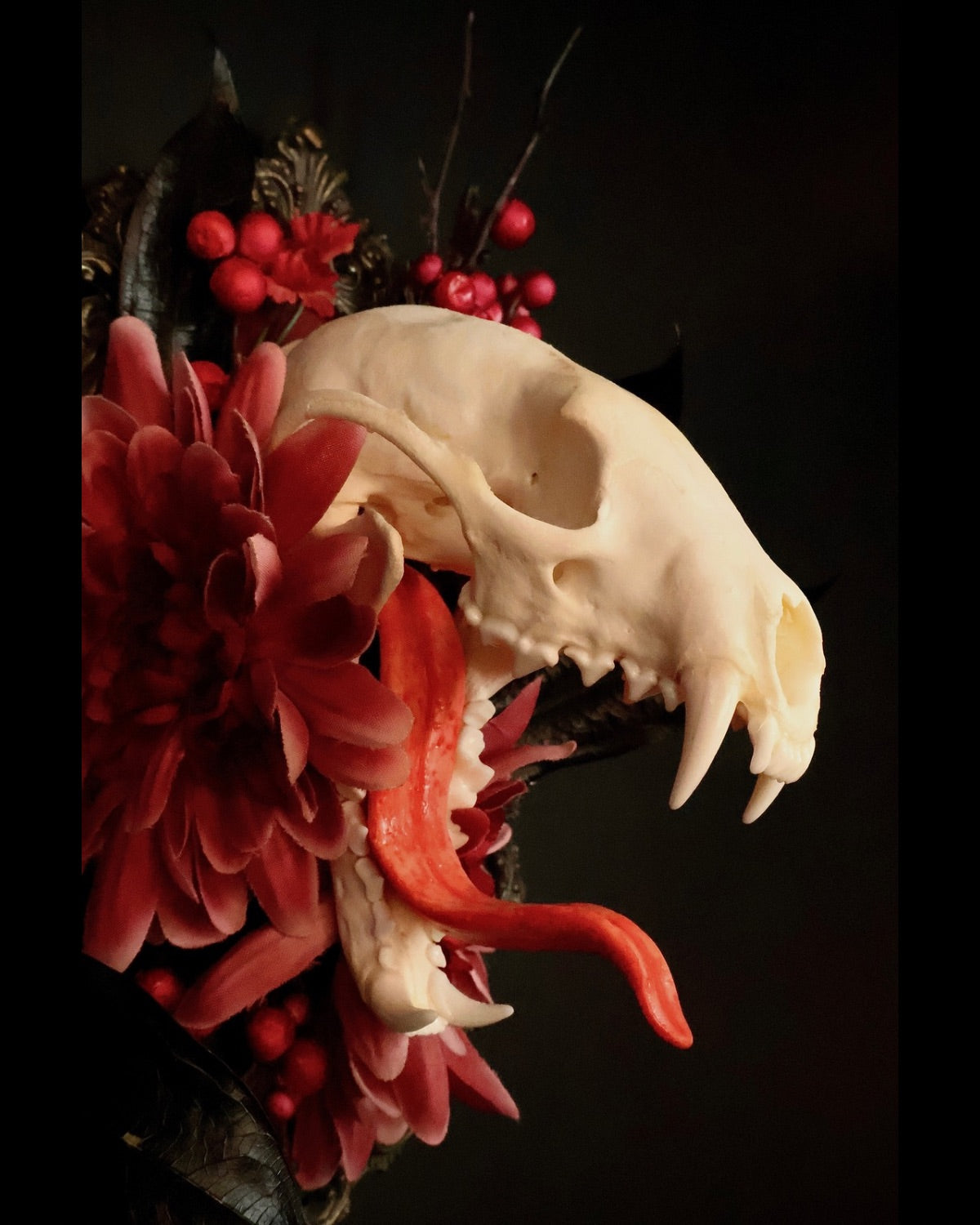 Oddities