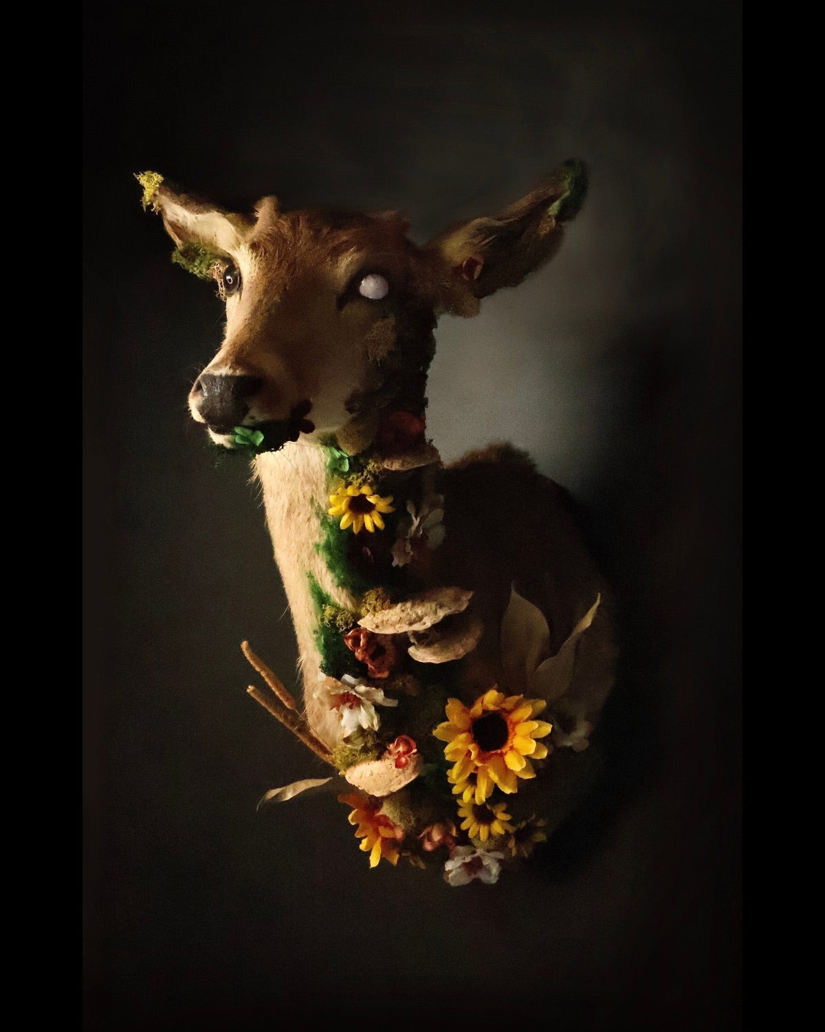 Dead deer flower deer