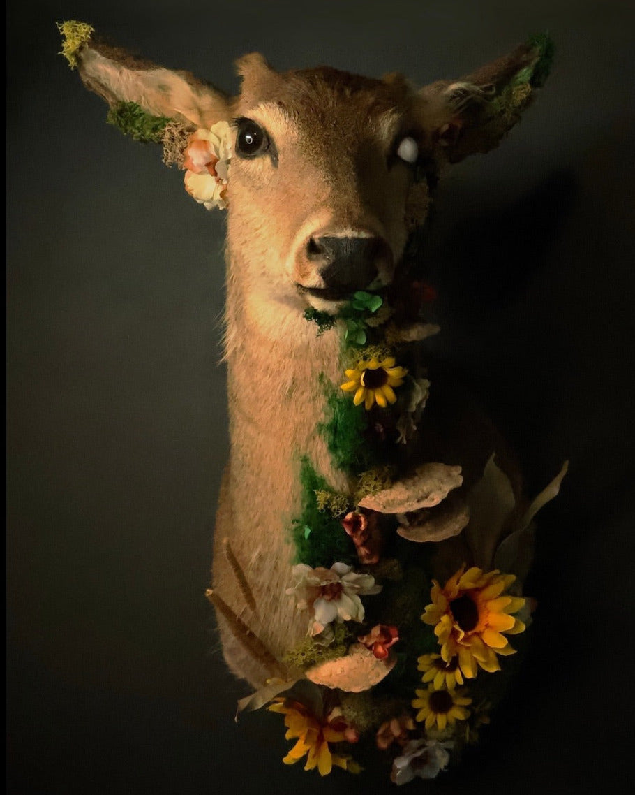 Taxidermy deer head with floral decorations on a dark background