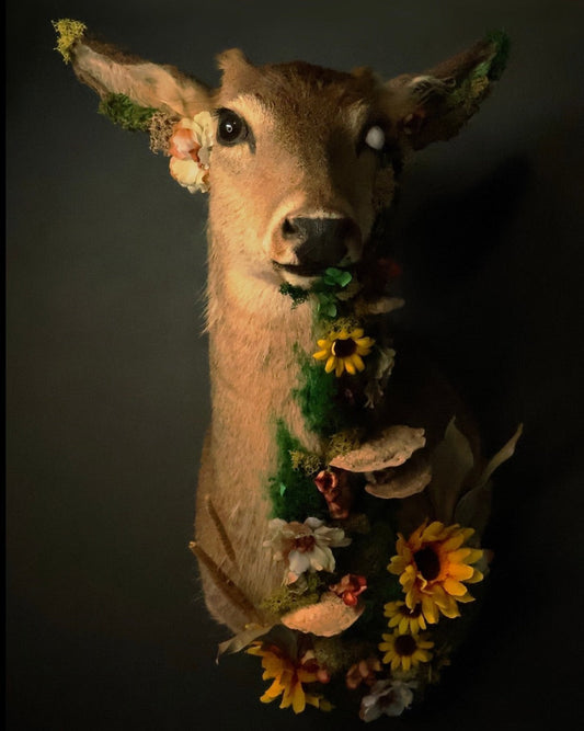Taxidermy deer head with floral decorations on a dark background