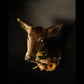 Dead deer flower deer