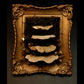Decorative wall art with a gold frame and layered shelf mushrooms on a dark background
