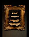 Decorative wall art with a gold frame and layered shelf mushrooms on a dark background