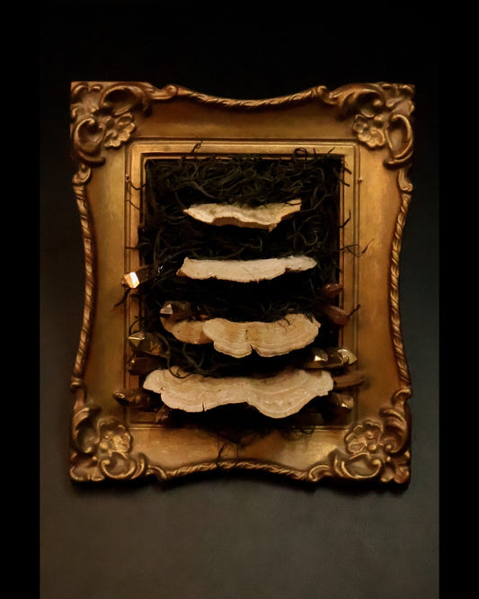 Decorative wall art with a gold frame and layered shelf mushrooms on a dark background