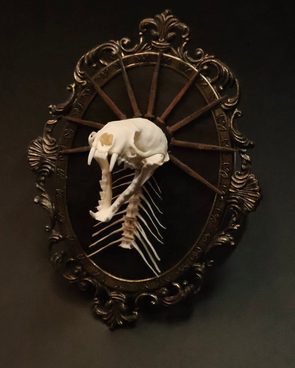Decorative wall piece with a skeleton in an ornate frame on a dark background