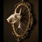 Framed skeleton on a dark background