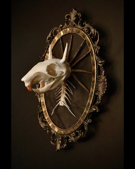 Framed skeleton on a dark background