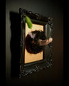  AN black frame featuring a nest and feathers, with a baby doll hand