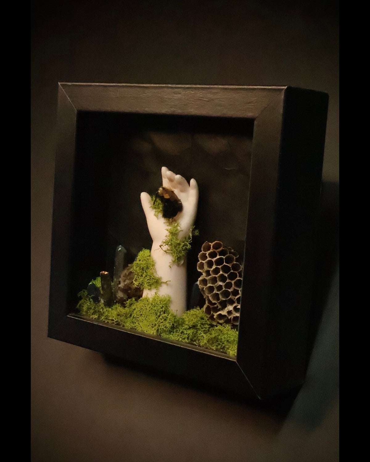 Artistic depiction of a hand holding a bee in a dark box with moss and a honeycomb.